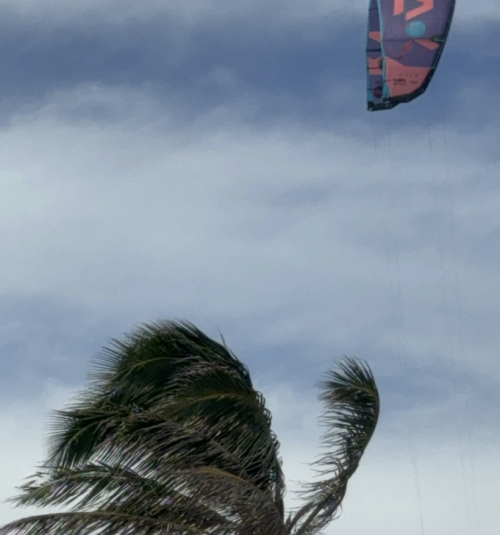 Captura de tela 2025-07-13 151651