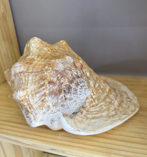 Captura de tela 2025-07-13 151753